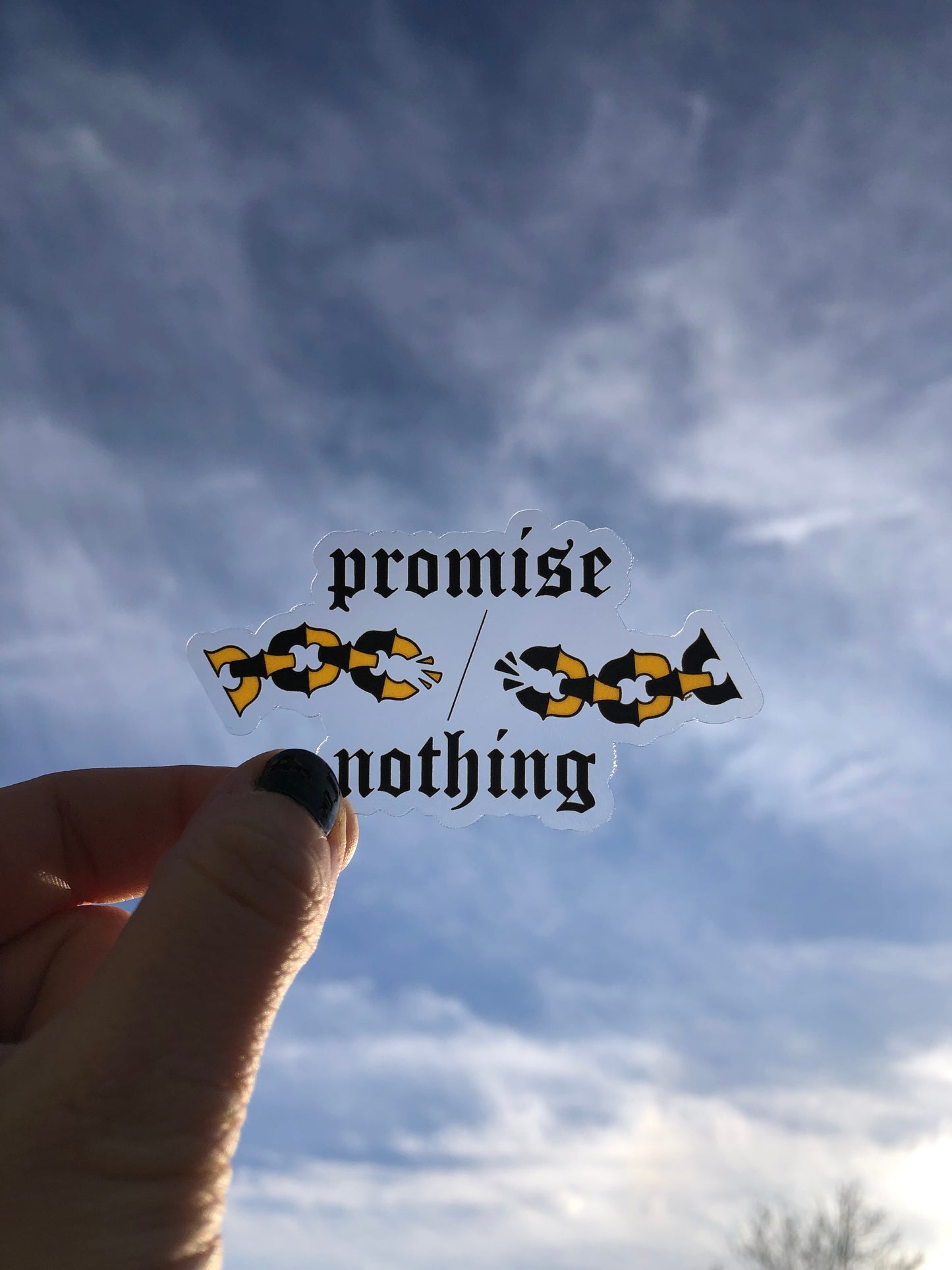Promise Nothing clear vinyl sticker
